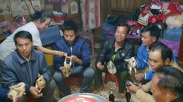 Nrog peb saib kaws taws qaib os 27/11/2019