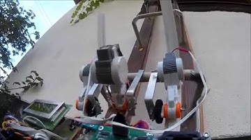 Ladder climbing robot