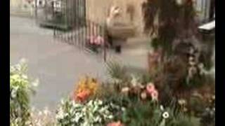 Lorgues en Provence