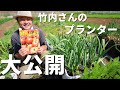 【自然菜園プランター】竹内孝功さんのプランターお見せします！