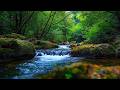 Deep Sleep &amp; Stress Relief by Peaceful Forest Stream | Calming Water Flow &amp; Birds Nature Sounds ASMR