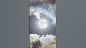 سورة الإخلاص بصوت الشيخ ماهر المعيقلي 🎧