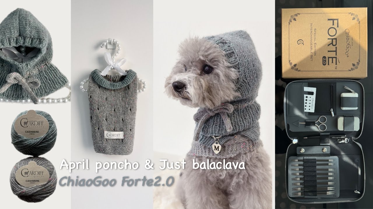 Knitting vlog (sub)ㅣ🐶강아지 판쵸 & 바라클라바 뜨기🩶ㅣ치아오구 포르테2.0 언박싱🪡앵콜스 팝업