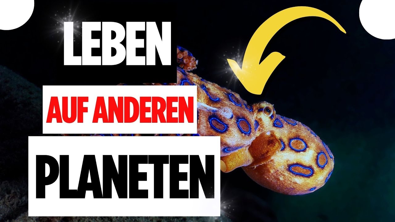 🌌 Unendliche Weiten: 🚀 Gibt es intelligentes Leben im Universum? 🛰️ 