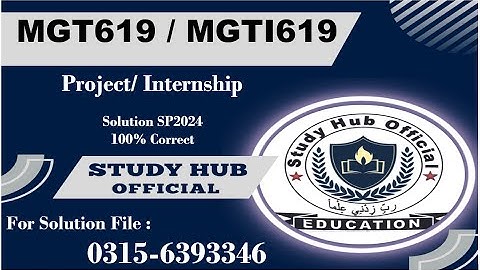 MGT619 Project/ Internship Report SP2024 mgt619/ mgti619