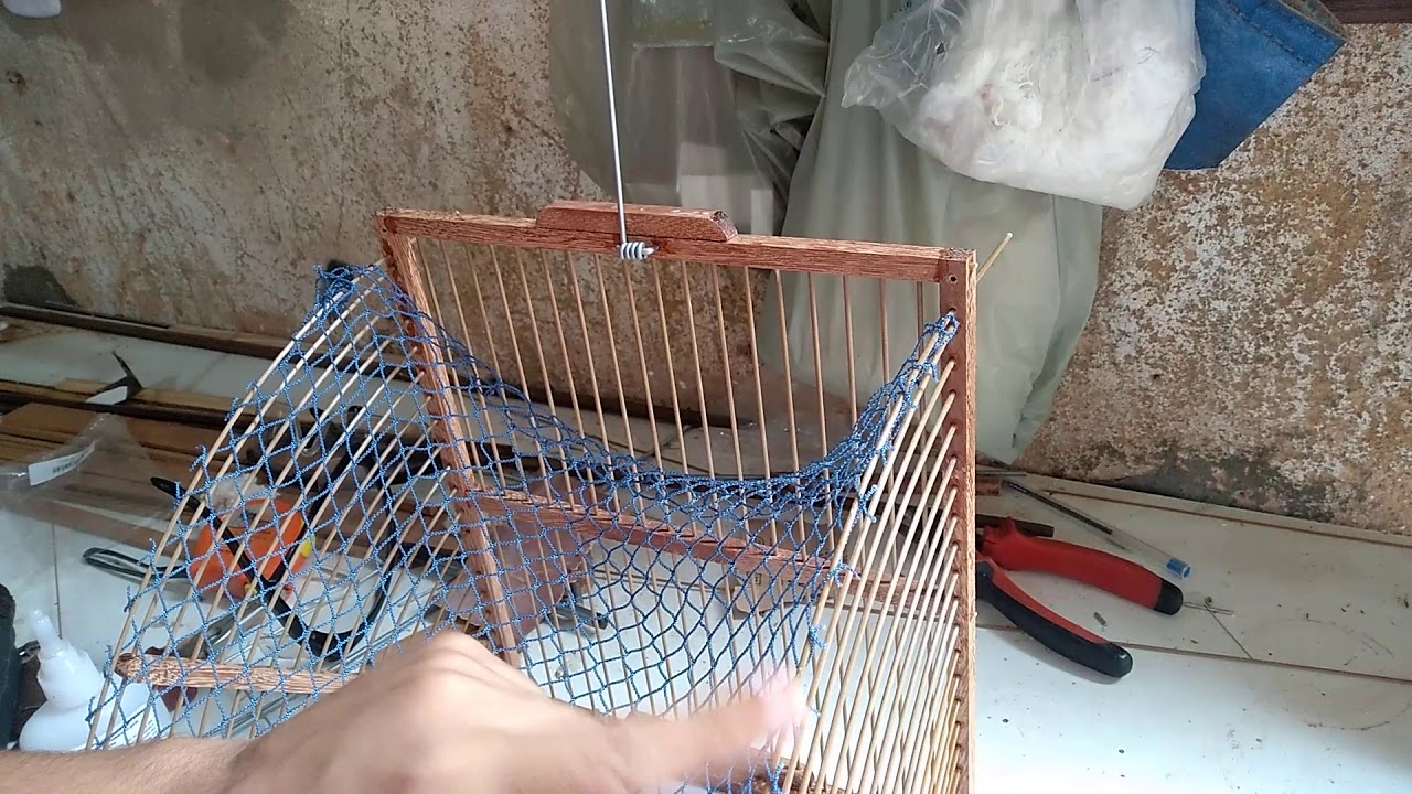 ALÇAPÃO BOCA DE SAPO (PARTE 3)(ETAPA 2)