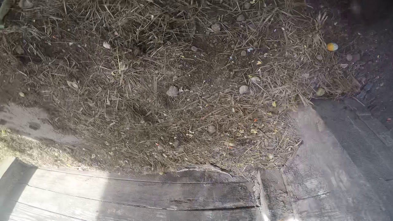 High velocity paintball Coram New York 1/11/20 YouTube