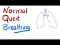 Lung Physiology Basics | Normal Quiet Breathing 😮‍💨
