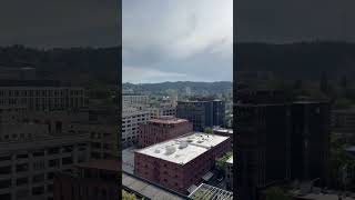 IMG 7410