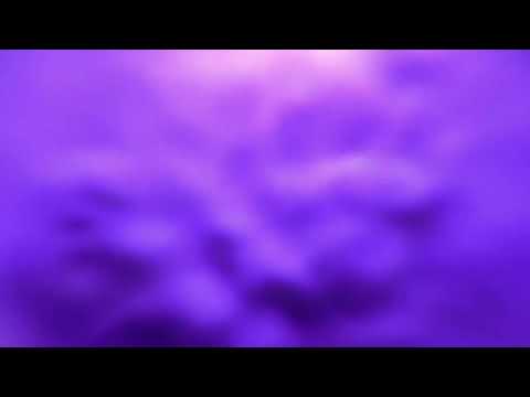 在 YouTube 上观看 FUERA - cosa fai stasera? 在 YouTube 上观看 FUERA - cosa fai stasera?