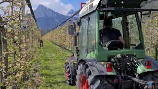 Fruit Tec Darwin 250 Apple Blossom Thinning  Switzerland