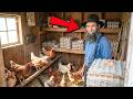 The Amish Chicken Method That Produces 100 Eggs a Month in Just 4 Square Feet
