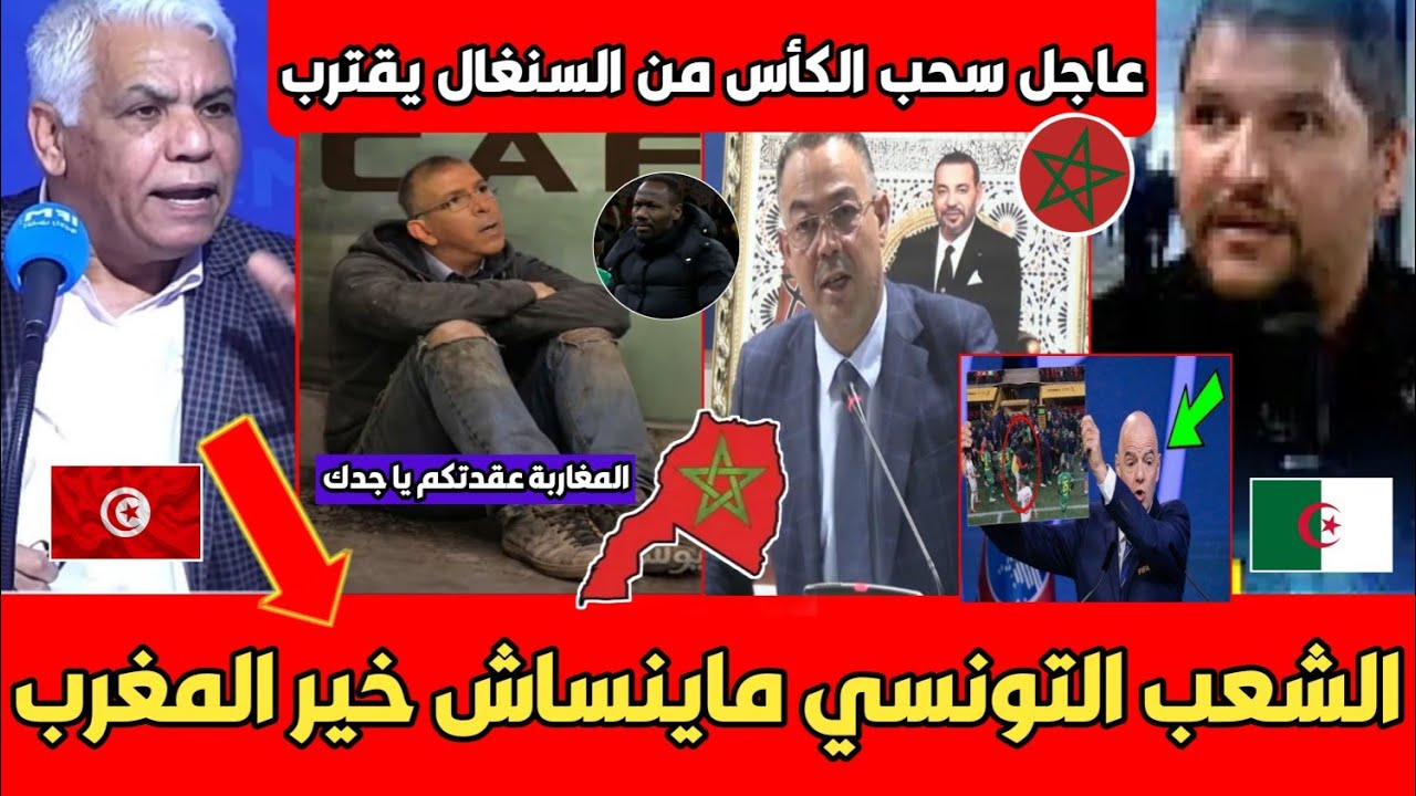 عاجل مثقف تونسي يفحم أبواق الجزائر بعد التطاول على المغرب سحب اللقب من السنغال سيكون أكبر ضربة لتبون