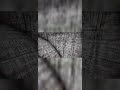 Я СНИМАЮ #contentwarning #контентварнинг #contentwarninggame #contentwarninggameplay