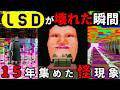 【LSD】で見つかった意味不明なバグまとめ