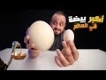 جربت اطبخ اكبر بيضة في العالم