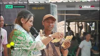 ULA PUCUK (Tengdung)- DEVI ADINDA || Live Younink Musik Nanggerang, Senin 18 Desember 2023