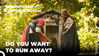 Anastasias Only Hope Is Iskender Magnificent Century: Kosem Resimi