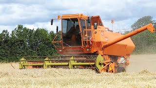 Dronningborg D2600 (V8 Perkins) Combine Harvesting Barley | Harvest Season 2023