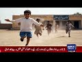 🔴 Morning Show Live: Watch Chai, Toast Aur Host | 23-6-2026 | Dawn News Live