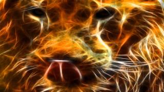 Fire Lion - video designed by dreamscene.org