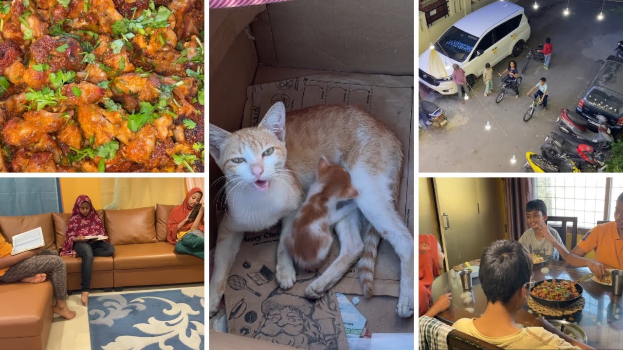 Chicken lollipops dry Manchurian | alhamdulillah Quran time follows where ever we go 