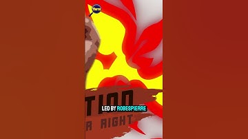 The Hidden Truth Behind the Reign of Terror