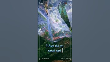 Top 3 cach thả tép nhanh nhất