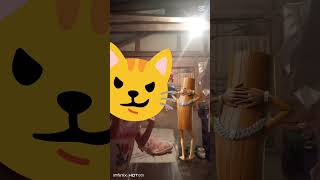 REee tiesa