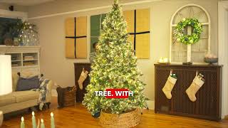 Tripoli Christmas Tree at Ace Hardware