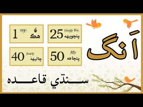 Sindhi Numbers Counting from 1 to 50 | Sindhi 50 Ang | Sindhi Sikhya