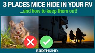 How to Protect Your RV from Mice & Rodents | Natural (Botanical) Repellent That Works