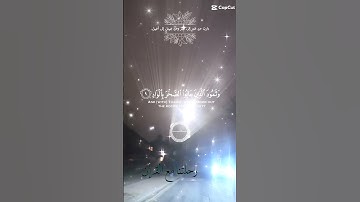 تلاوة عطرة مباركة جميلة للشيخ سعد الغامدي ماتيسر من سورة الفجر