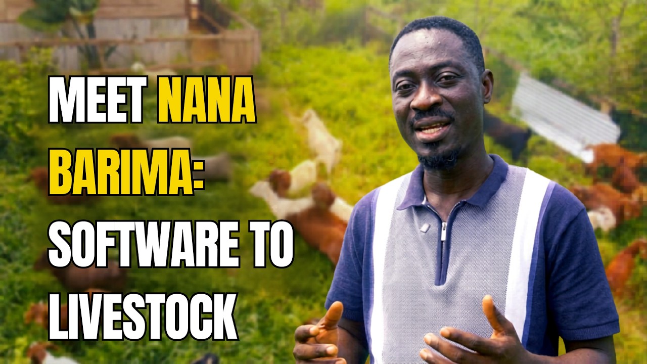 Software Engineer Turned Farmer: The Full Story