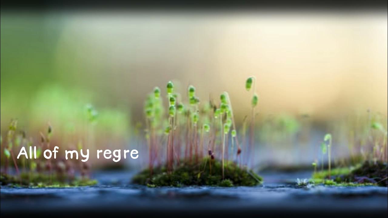 Little Wonders Rob Thomas with Lyrics YouTube