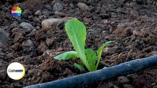 Çakıroğlu Tarım - İşte Iz Showtürk