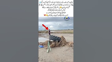 Farmer Lost Everything in Flood | #FloodInPakistan #FarmerLife #Tragedy #Pakistan #NaturalDisaster