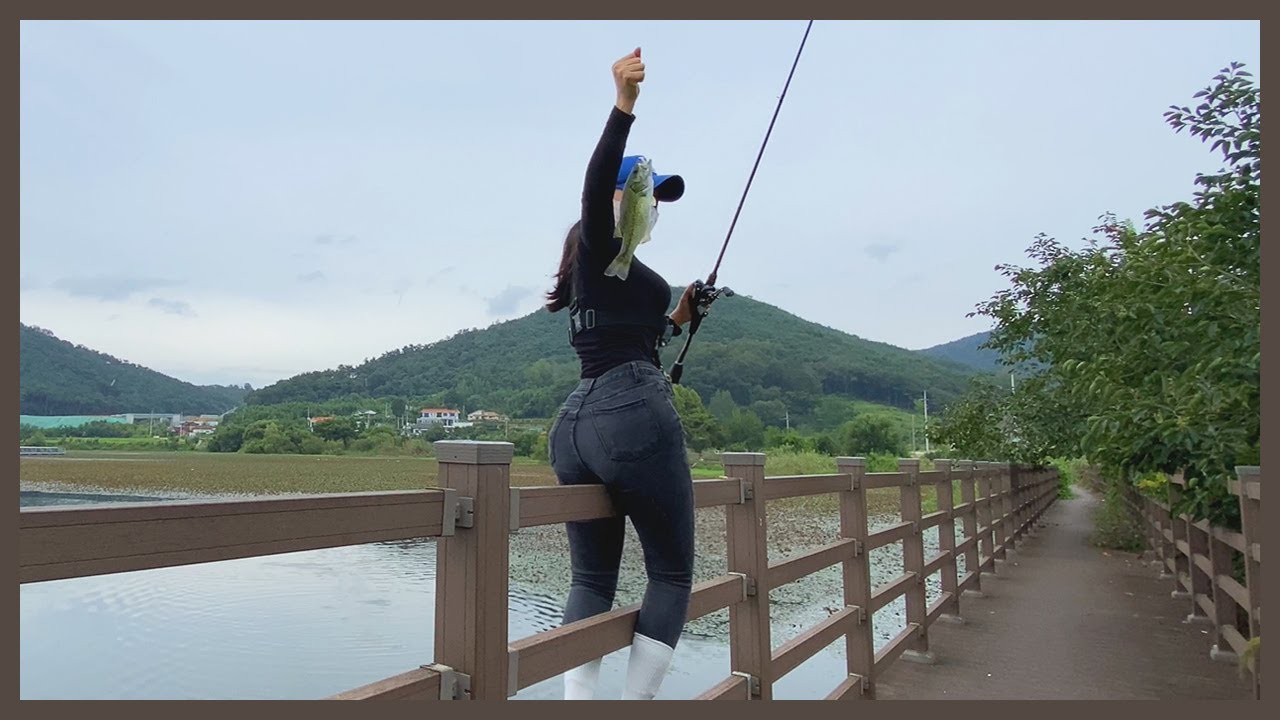 배스잡자마자 길냥이들에게 나눔하기 (귀여움주의)