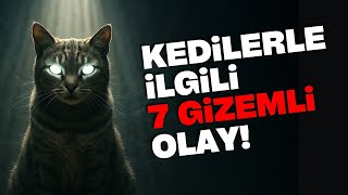 KEDİLERLE İLGİLİ 7 GİZEMLİ OLAY! İLGİNÇ BİLGİLER KEDİ VİDEOLARI TELEPATİ KOMİK GİZEMLİ SIRLARI