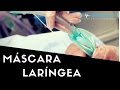 COMO USAR MÁSCARA LARÍNGEA - #004