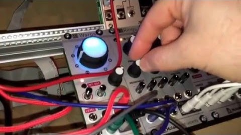 Mutable instruments - Rings Eurorack Modular Synth