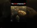 Superman Death Scene | The Death of Superman Full Fight