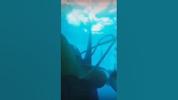 Cutter_in_ship_propeller_#facts #youtubeshorts #amazing