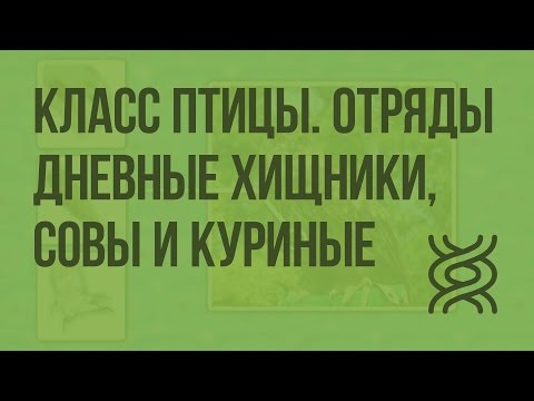 Класс Птицы. Отряды Дневные хищные, Совы и Куриные. Видеоурок по биологии 7 класс