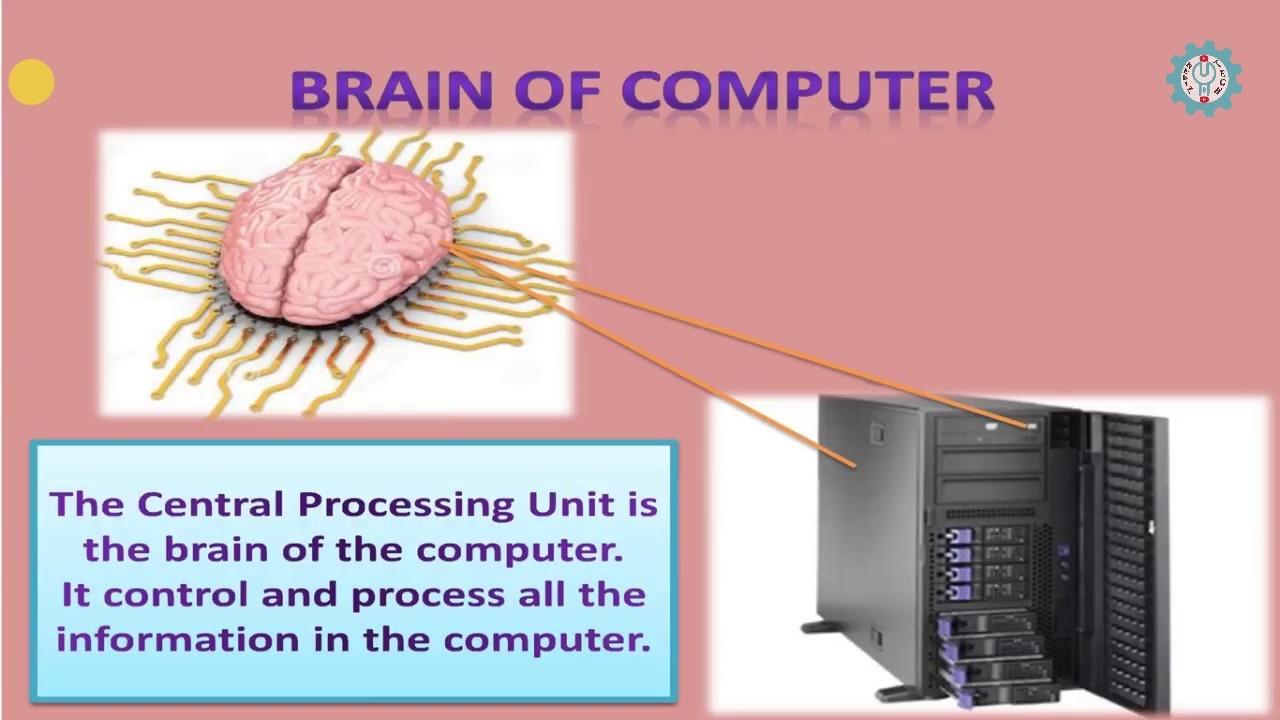 Central Processing Unit (CPU) Class 6 Introduction to Computer