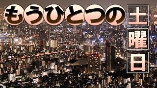 Video thumbnail of "もうひとつの土曜日（浜田省吾） - cover -　ギタレレ"