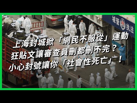 上海封城掀「網民不服從」運動 狂貼文讓審查員刪都刪不完？小心封號讓你「社會性死亡」【TODAY 看世界】