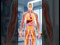 What happens when you eat fruits for one week #bodyfactvault #anatomy #health