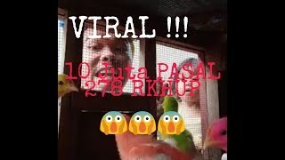 VIRAL UU RKUHP KONTROVERSIAL!!! Video Lucu Si Mak Cacha😱