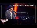 Javier Erro canta 'A million dreams' | Audiciones a ciegas | La Voz Antena 3 2019